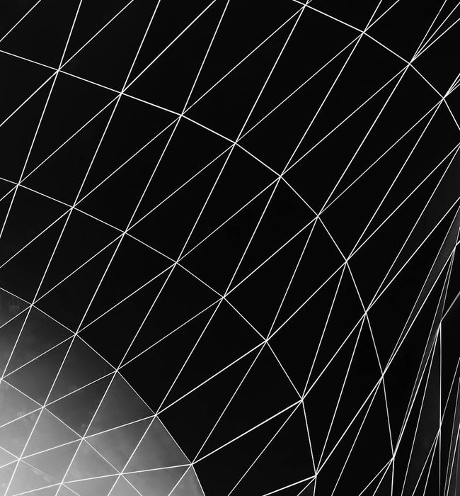 Symmetrical abstract lines representing neural connections and focus